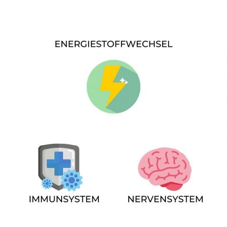 Mario Einödmaier, Personal Training, Trainingsbetreuung, Trainingsplanung, Radsport, Laufsport, Gruppentraining, Workshops, Leistungsdiagnostik, Ausdauertraining, Krafttraining, Mobilität, Ernährung, Mikronährstoffe, Lebensstil, Lifestyle