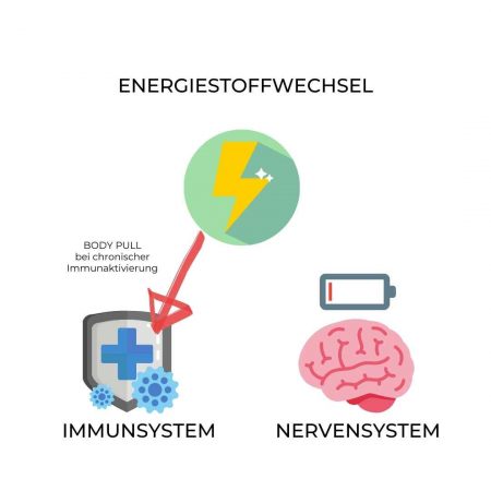 Mario Einödmaier, Personal Training, Trainingsbetreuung, Trainingsplanung, Radsport, Laufsport, Gruppentraining, Workshops, Leistungsdiagnostik, Ausdauertraining, Krafttraining, Mobilität, Ernährung, Mikronährstoffe, Lebensstil, Lifestyle