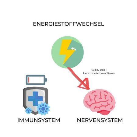 Mario Einödmaier, Personal Training, Trainingsbetreuung, Trainingsplanung, Radsport, Laufsport, Gruppentraining, Workshops, Leistungsdiagnostik, Ausdauertraining, Krafttraining, Mobilität, Ernährung, Mikronährstoffe, Lebensstil, Lifestyle