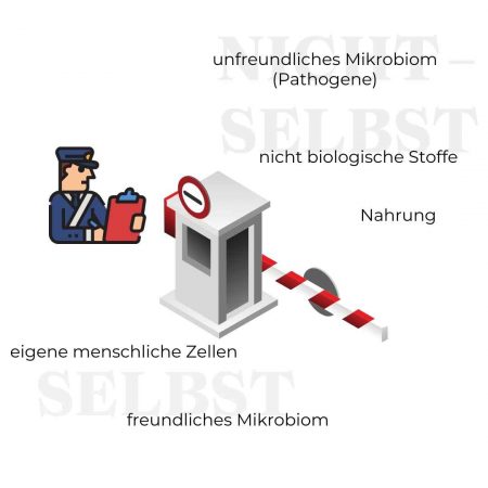 Mario Einödmaier, Personal Training, Trainingsbetreuung, Trainingsplanung, Radsport, Laufsport, Gruppentraining, Workshops, Leistungsdiagnostik, Ausdauertraining, Krafttraining, Mobilität, Ernährung, Mikronährstoffe, Lebensstil, Lifestyle